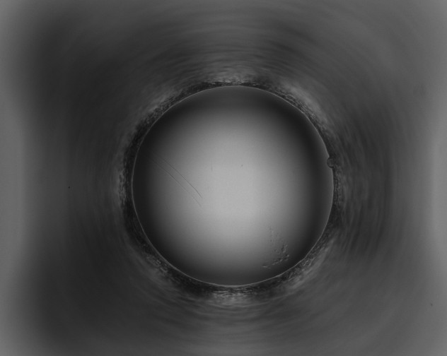 X0000095920354200801111240