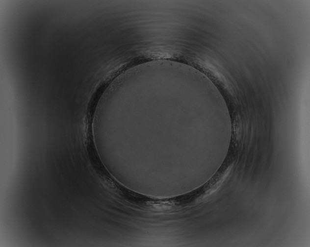 X0000095920359200801111240