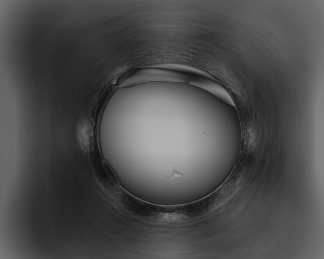 X0000095920360200801111240