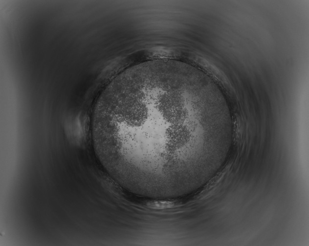 X0000095920361200801111240