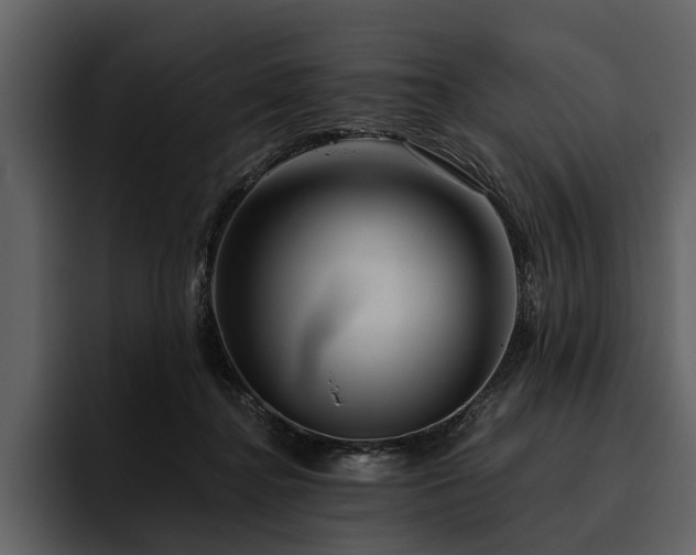 X0000095920364200801111240