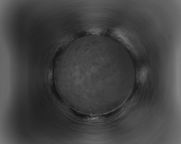 X0000095920365200801111240