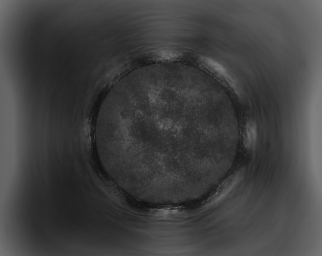 X0000095920366200801111240