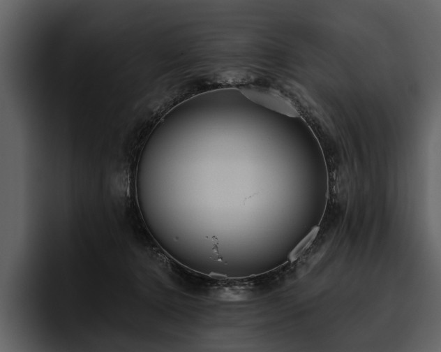 X0000095920368200801111240