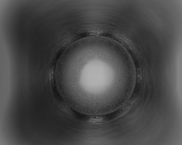 X0000095920369200801111240