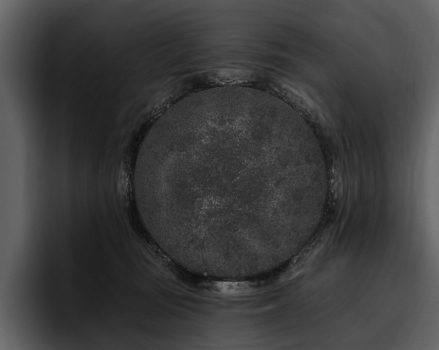 X0000095920371200801111240