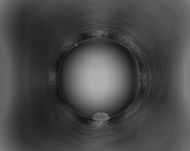 X0000095920375200801111240