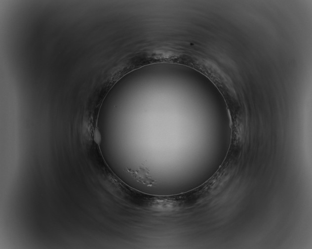 X0000095920376200801111240