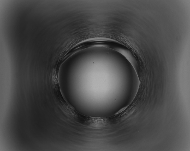 X0000095920384200801111240