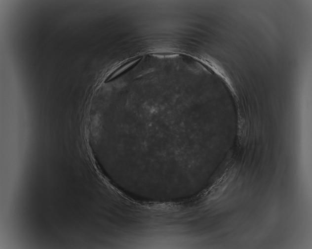 X0000095920385200801111239