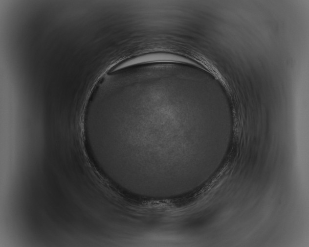 X0000095920386200801111239