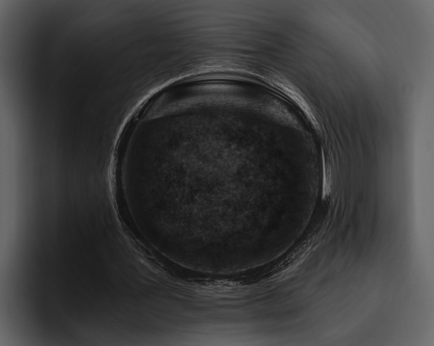 X0000095920387200801111239