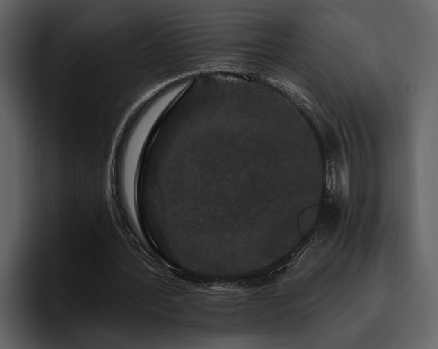 X0000095920388200801111239