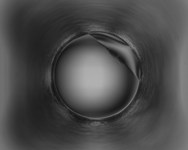 X0000095920390200801111239