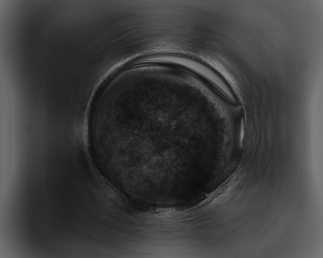 X0000095920391200801111239