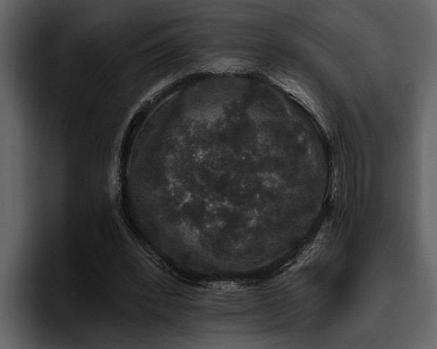 X0000095920392200801111239