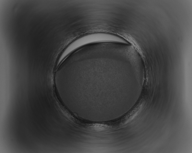 X0000095920393200801111239
