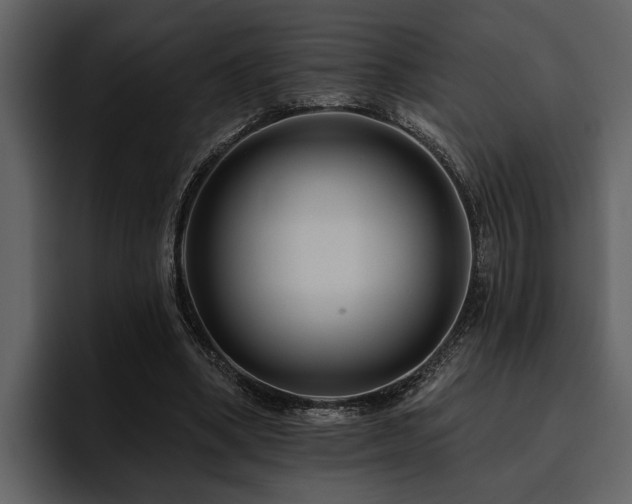 X0000095920394200801111239