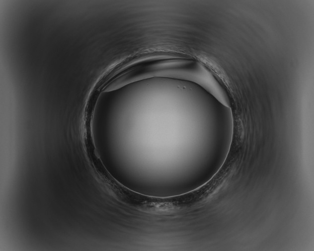 X0000095920395200801111239