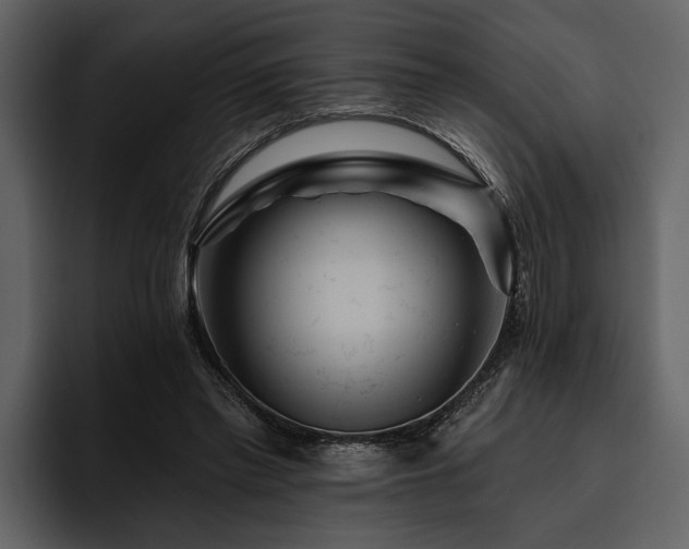X0000095920397200801111239