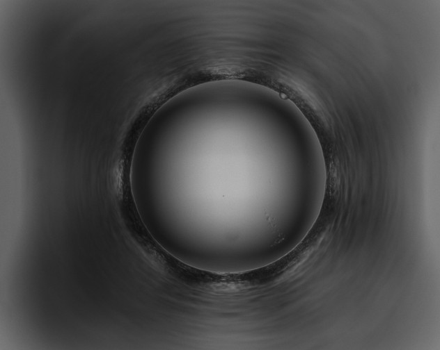 X0000095920404200801111239