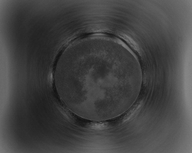 X0000095920405200801111239