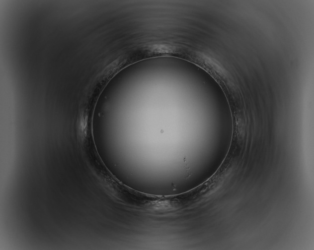 X0000095920406200801111239