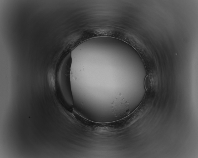 X0000095920408200801111239