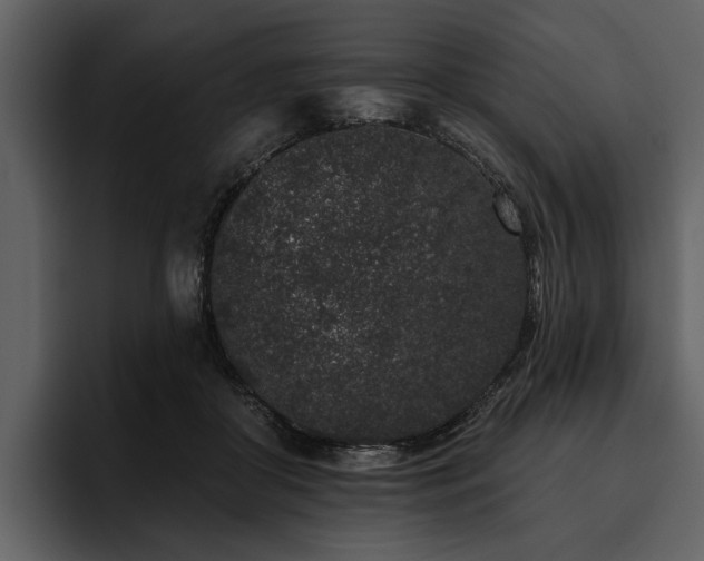X0000095920410200801111239