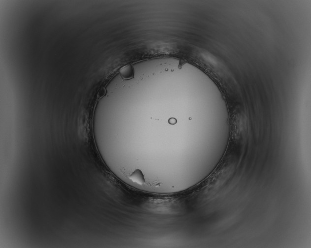 X0000095920414200801111239