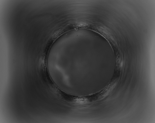 X0000095920415200801111239