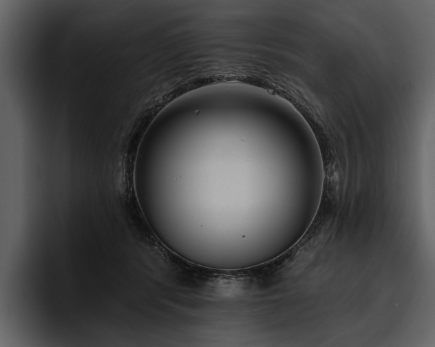 X0000095920416200801111239