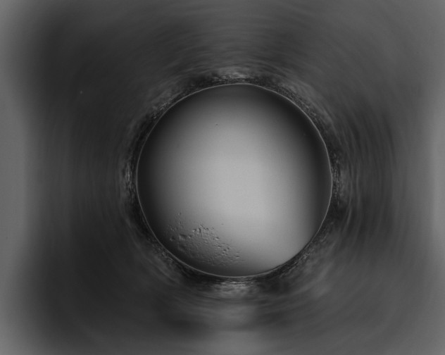 X0000095920418200801111239