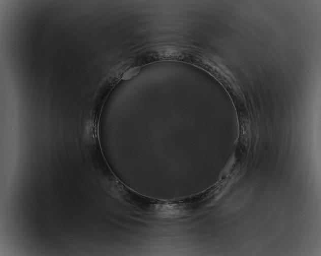 X0000095920419200801111239