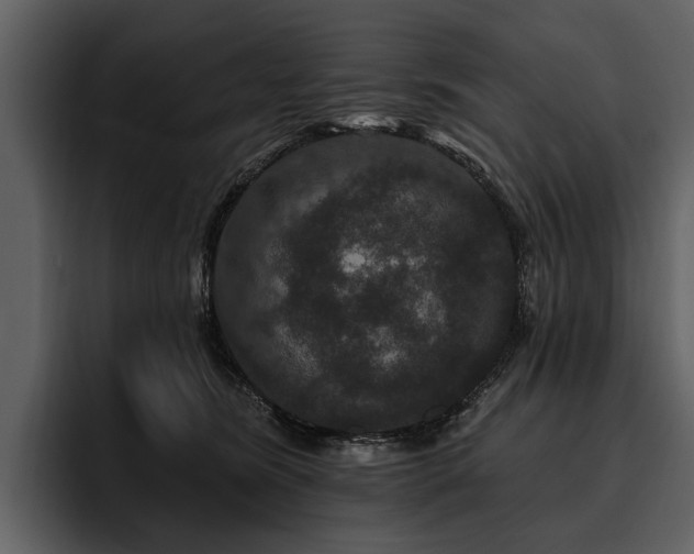 X0000095920420200801111239