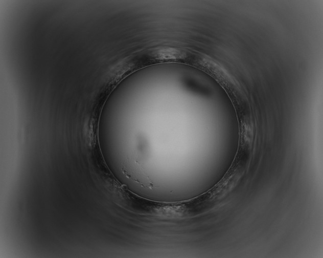 X0000095920422200801111239