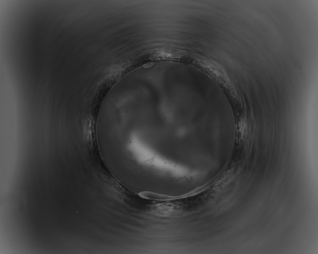 X0000095920423200801111239