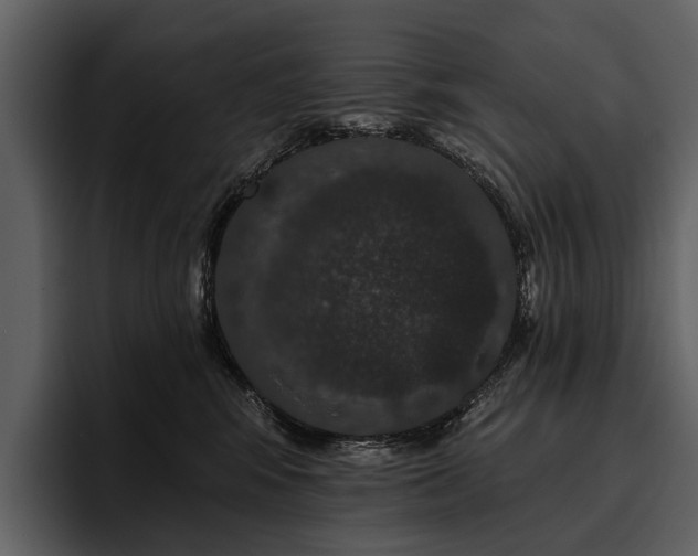X0000095920424200801111239