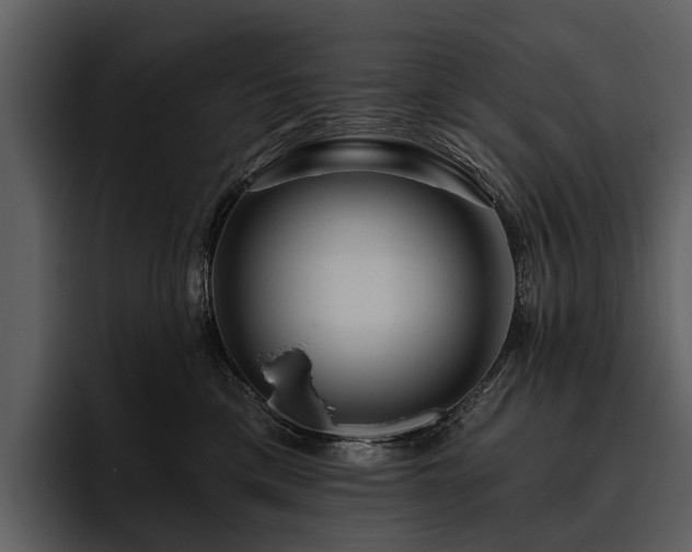 X0000095920425200801111239