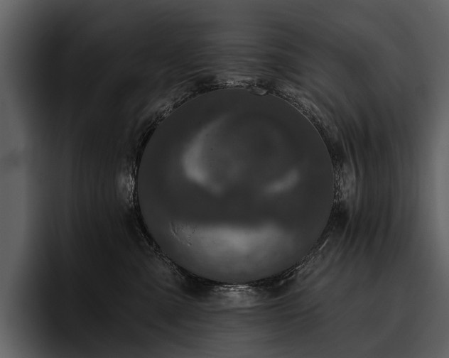 X0000095920427200801111239