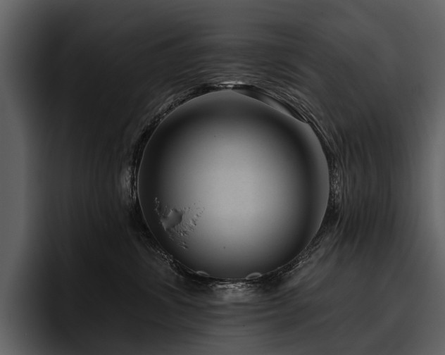 X0000095920428200801111239