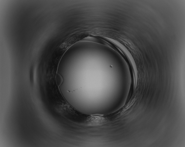 X0000095920429200801111239