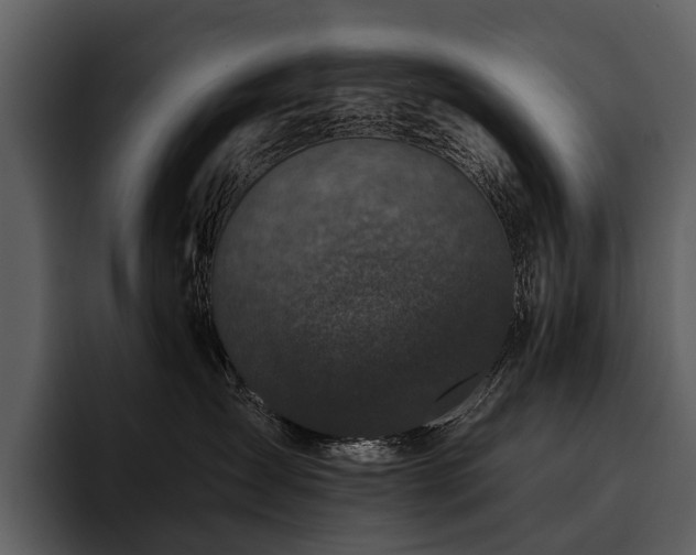 X0000095920431200801111239