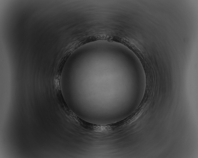 X0000095920432200801111239