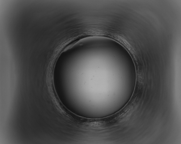 X0000095920433200801111238