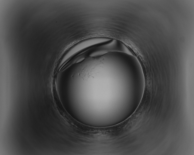 X0000095920434200801111238