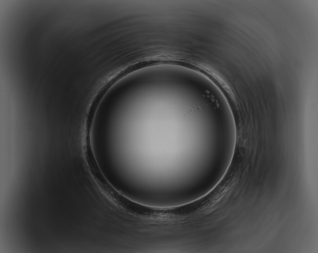 X0000095920437200801111238