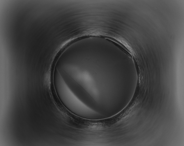 X0000095920438200801111238