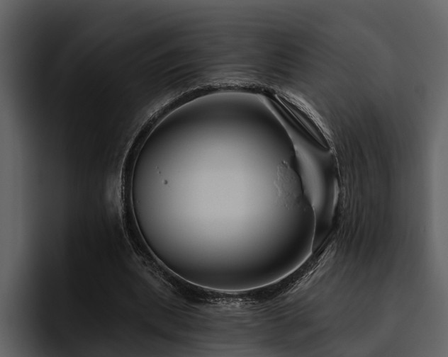 X0000095920439200801111238