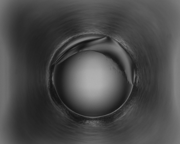 X0000095920440200801111238